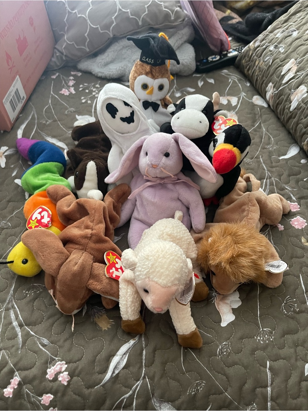 TY Beanie Baby Plush Mix - Assorted Colors Kids Toy Collection